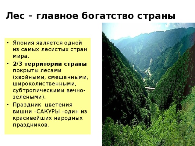 Лес – главное богатство страны