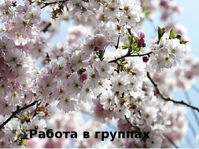 Работа в группах