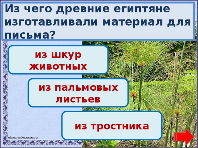 Из чего древние египтяне изготавливали материал для письма? Переход хода! из шкур животных Переход хода! из пальмовых листьев Молодец! из тростника 