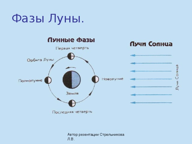 Фазы Луны. Автор резентации Стрельникова Л.В. 