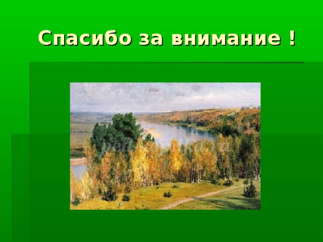 Спасибо за внимание ! 