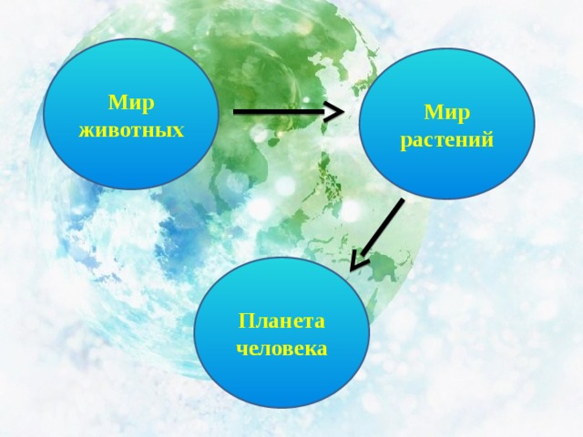 Мир животных Мир растений Планета человека 