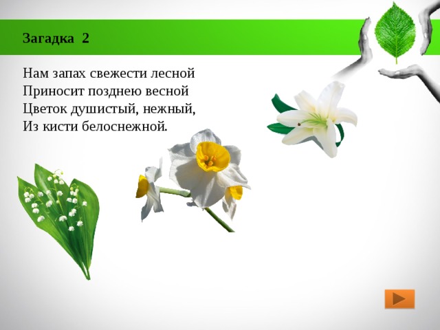 Загадка 2    Нам запах свежести лесной   Приносит позднею весной   Цветок душистый, нежный,   Из кисти белоснежной. 