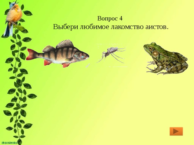 Вопрос 4  Выбери любимое лакомство аистов. 
