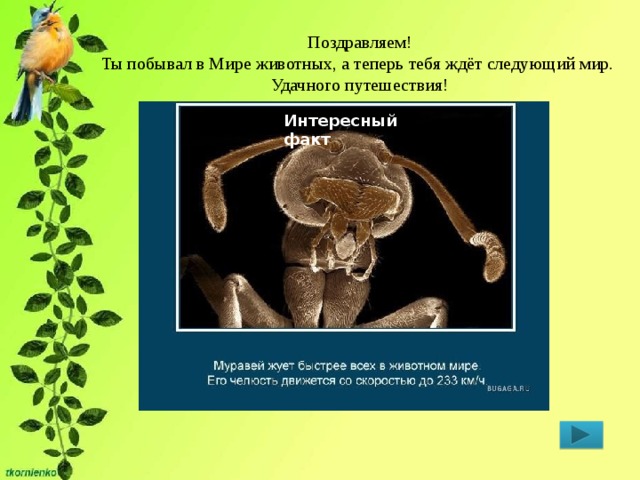 Поздравляем! Ты побывал в Мире животных, а теперь тебя ждёт следующий мир. Удачного путешествия! Интересный факт 