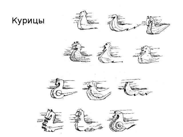 Курицы 
