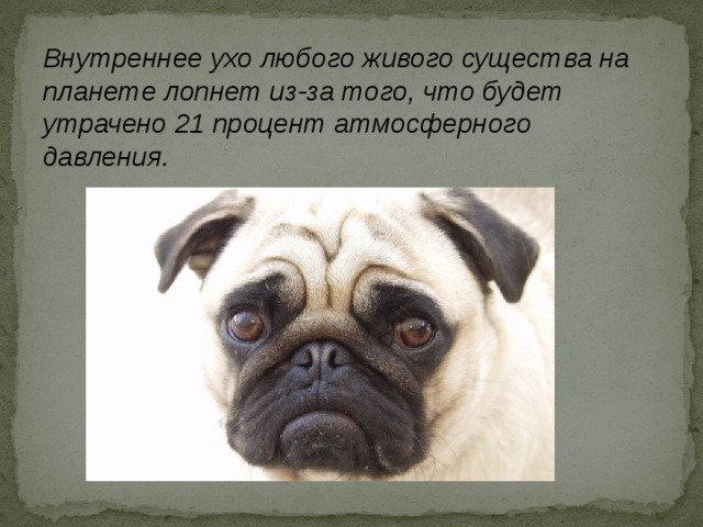 Внутреннее ухо любого живого существа на планете лопнет из-за того, что будет утрачено 21 процент атмосферного давления. 
