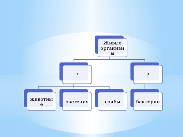 Живые организмы ? ? грибы растения животные бактерии