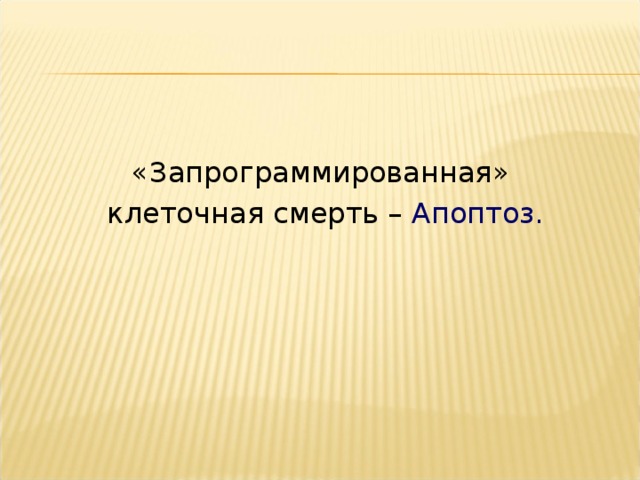 «Запрограммированная» клеточная смерть – Апоптоз.