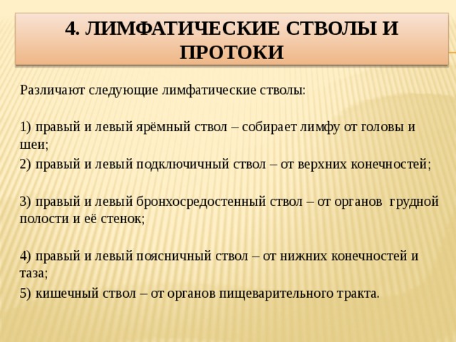 4. Лимфатические стволы и протоки Различают следующие лимфатические стволы: 1) правый и левый ярёмный ствол – собирает лимфу от головы и шеи; 2) правый и левый подключичный ствол – от верхних конечностей; 3) правый и левый бронхосредостенный ствол – от органов грудной полости и её стенок; 4) правый и левый поясничный ствол – от нижних конечностей и таза; 5) кишечный ствол – от органов пищеварительного тракта. 