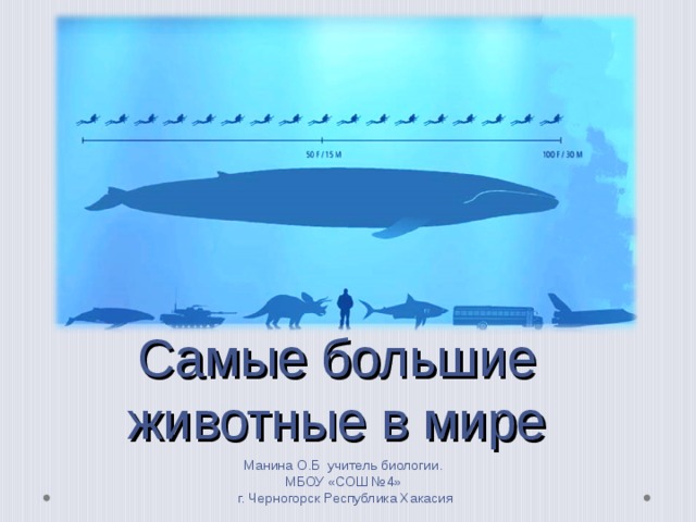 Самые большие животные в мире Манина О.Б учитель биологии. МБОУ «СОШ №4» г. Черногорск Республика Хакасия  