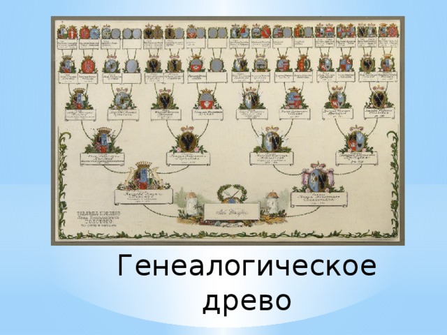Генеалогическое древо   