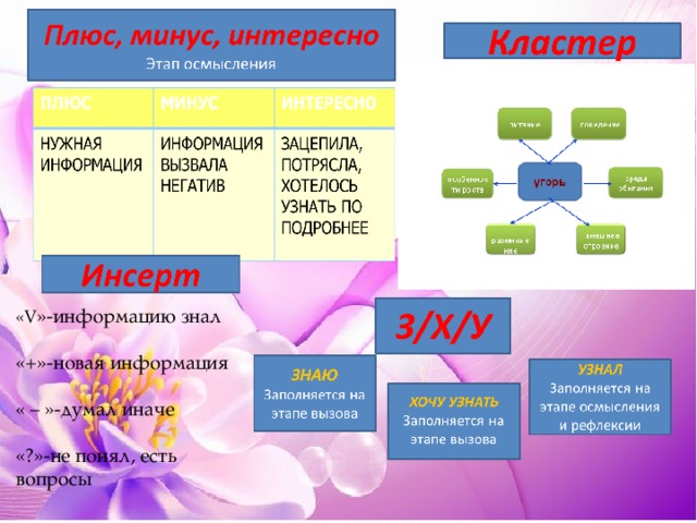 «V »-информацию знал   «+»-новая информация   « – »-думал иначе   «?»-не понял, есть вопросы   