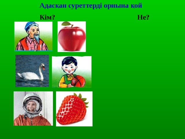 Адасқан суреттерді орнына қой Кім? Не? 