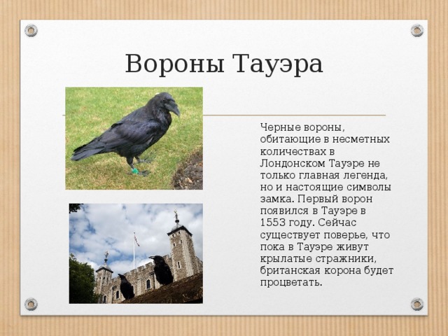 Вороны Тауэра Черные вороны, обитающие в несметных количествах в Лондонском Тауэре не только главная легенда, но и настоящие символы замка. Первый ворон появился в Тауэре в 1553 году. Сейчас существует поверье, что пока в Тауэре живут крылатые стражники, британская корона будет процветать. 