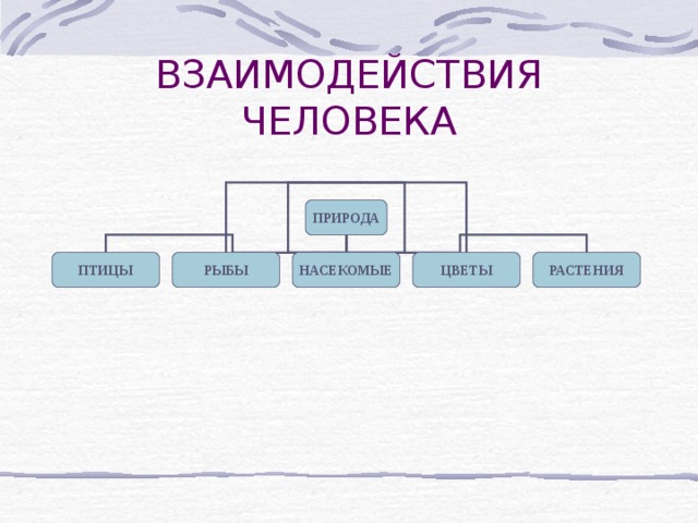 ВЗАИМОДЕЙСТВИЯ ЧЕЛОВЕКА ПРИРОДА ПТИЦЫ РЫБЫ НАСЕКОМЫЕ ЦВЕТЫ РАСТЕНИЯ 
