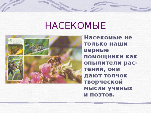 Насекомые не только наши верные помощники как опылители рас-тений, они дают толчок творческой мысли ученых и поэтов. 