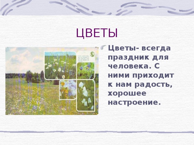 Цветы- всегда праздник для человека. С ними приходит к нам радость, хорошее настроение. 