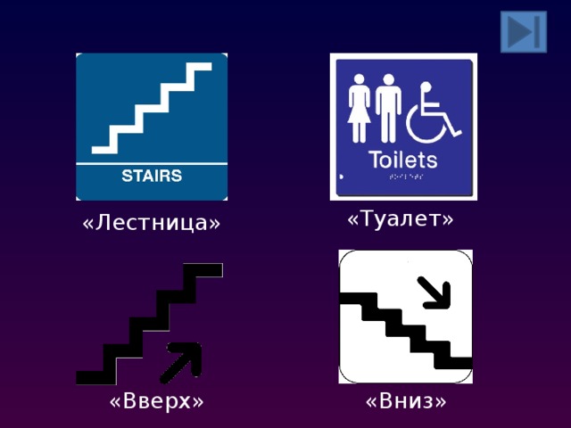 «Туалет» «Лестница» «Вниз» «Вверх»  
