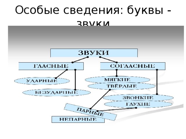 Особые сведения: буквы - звуки 