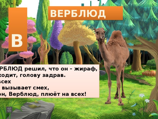 ВЕРБЛЮД  В ВЕРБЛЮД решил, что он – жираф, И ходит, голову задрав. У всех Он вызывает смех, А он, Верблюд, плюёт на всех! 