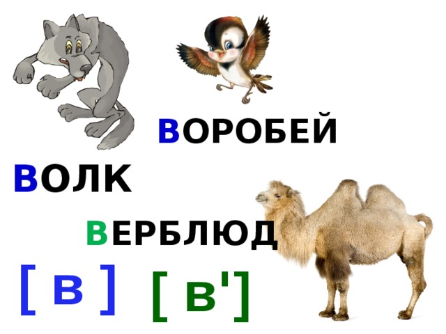 В ОРОБЕЙ В ОЛК В ЕРБЛЮД [ в ] [ в ' ] 