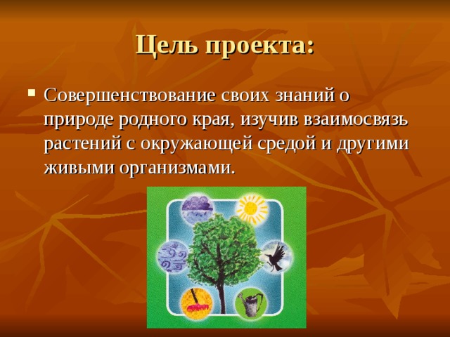 Цель проекта: Совершенствование своих знаний о природе родного края, изучив взаимосвязь растений с окружающей средой и другими живыми организмами. 
