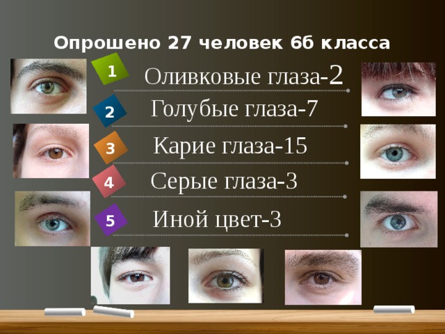 Опрошено 27 человек 6б класса Оливковые глаза- 2 1 Голубые глаза-7 2 Карие глаза-15 3 Серые глаза-3 4 Иной цвет-3 5 