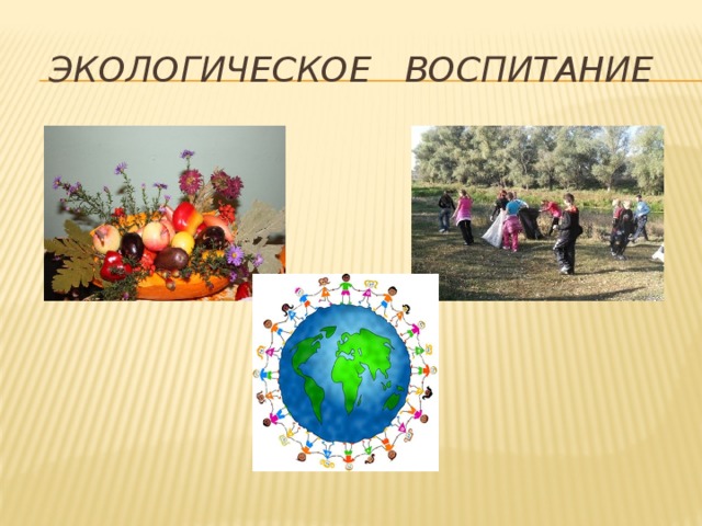 Экологическое воспитание 