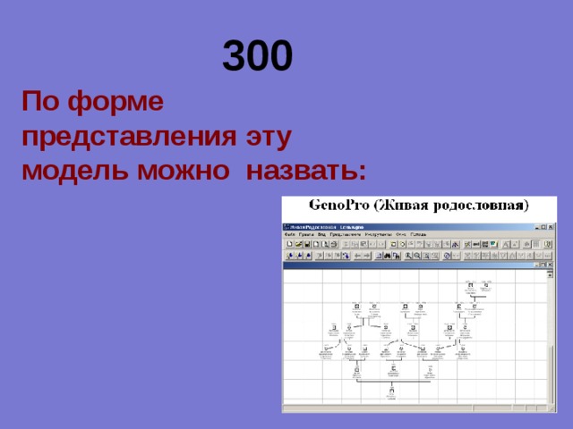 300 По форме представления эту модель можно назвать:  