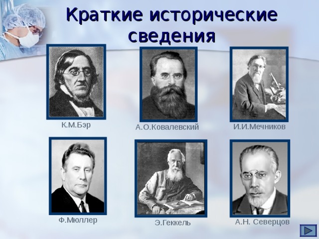 Краткие исторические сведения К.М.Бэр   И.И.Мечников  А.О.Ковалевский  Ф.Мюллер А.Н. Северцов  Э.Геккель 