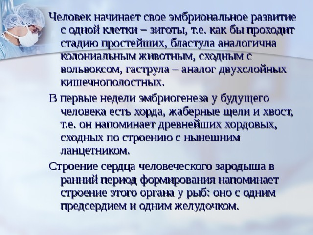 Человек начинает свое эмбриональное развитие с одной клетки – зиготы, т.е. как бы проходит стадию простейших, бластула аналогична колониальным животным, сходным с вольвоксом, гаструла – аналог двухслойных кишечнополостных. В первые недели эмбриогенеза у будущего человека есть хорда, жаберные щели и хвост, т.е. он напоминает древнейших хордовых, сходных по строению с нынешним ланцетником. Строение сердца человеческого зародыша в ранний период формирования напоминает строение этого органа у рыб: оно с одним предсердием и одним желудочком. 