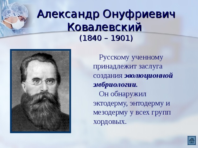 Александр Онуфриевич Ковалевский  (1840 – 1901)  Русскому ученному принадлежит заслуга создания эволюционной эмбриологии.  Он обнаружил эктодерму, энтодерму и мезодерму у всех групп хордовых. 