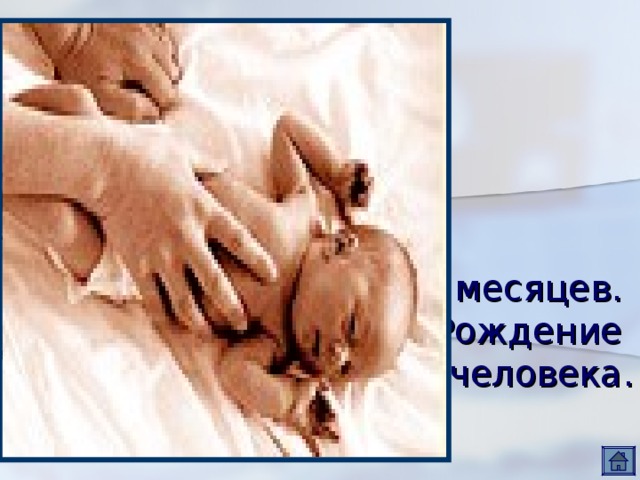 9 месяцев.  Рождение  человека. 