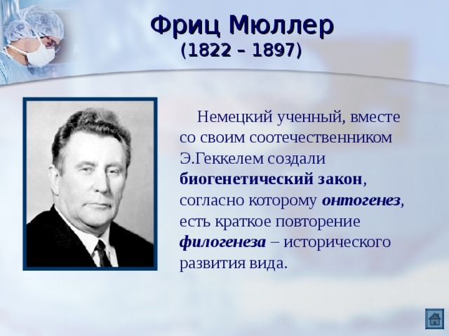 Фриц Мюллер  (1822 – 1897)  Немецкий ученный, вместе со своим соотечественником Э.Геккелем создали биогенетический закон , согласно которому онтогенез , есть краткое повторение филогенеза – исторического развития вида. 
