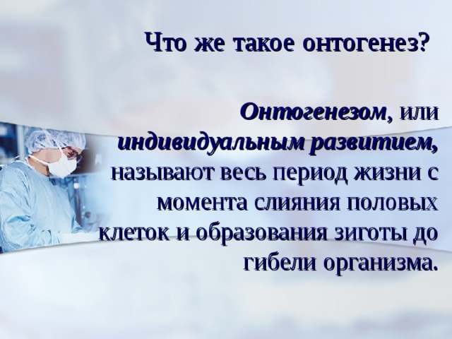 Что же такое онтогенез?  Онтогенезом , или индивидуальным развитием, называют весь период жизни с момента слияния половых клеток и образования зиготы до гибели организма. 