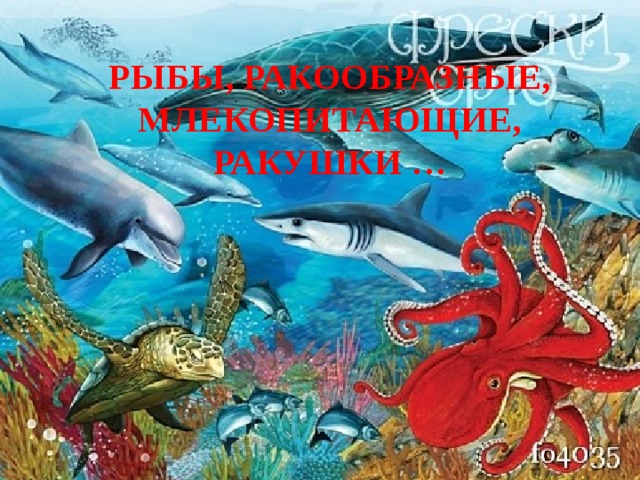 РЫБЫ, РАКООБРАЗНЫЕ, МЛЕКОПИТАЮЩИЕ, РАКУШКИ … 