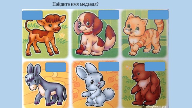Найдите имя медведя? 