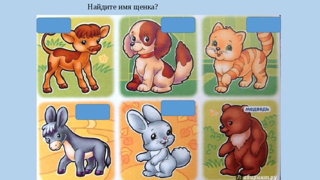 Найдите имя щенка? 