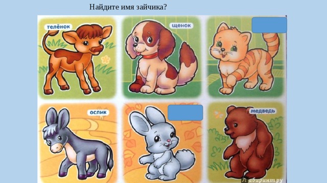 Найдите имя зайчика? 