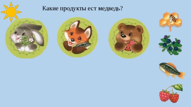 Какие продукты ест медведь? 