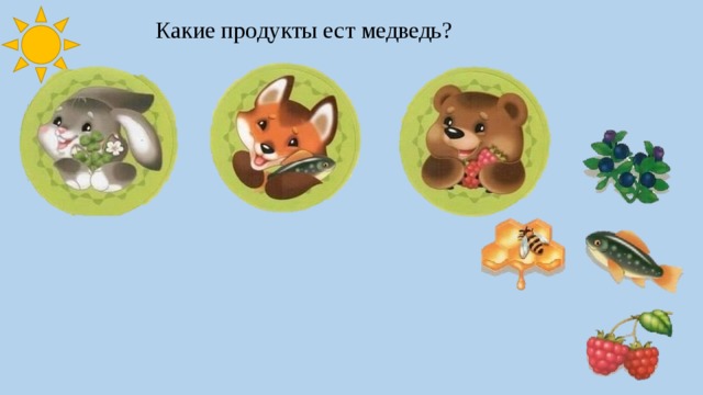 Какие продукты ест медведь? 