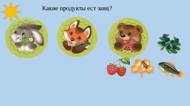 Какие продукты ест заяц? 