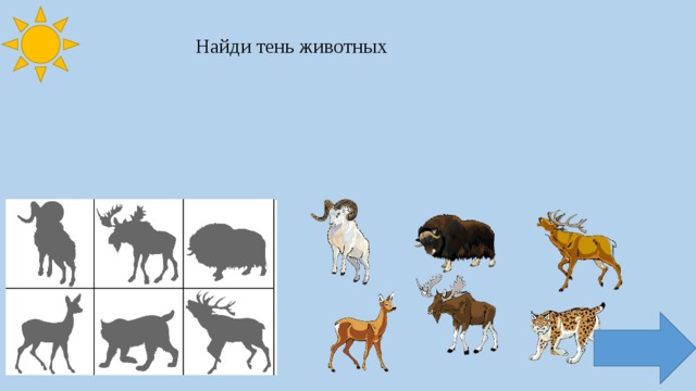 Найди тень животных 