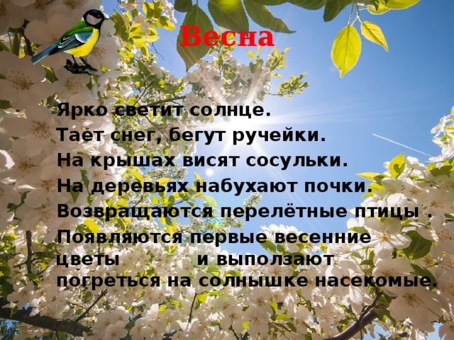 Весна Ярко светит солнце. Тает снег, бегут ручейки. На крышах висят сосульки. На деревьях набухают почки. Возвращаются перелётные птицы . Появляются первые весенние цветы и выползают погреться на солнышке насекомые. 