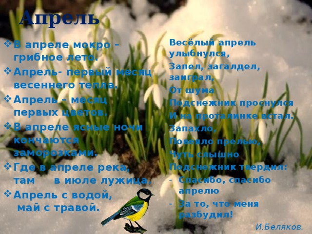 Апрель Весёлый апрель улыбнулся, Запел, загалдел, заиграл, От шума Подснежник проснулся И на проталинке встал. Запахло, Повеяло прелью, Чуть слышно Подснежник твердил: Спасибо, спасибо апрелю За то, что меня разбудил!  И.Беляков. В апреле мокро – грибное лето. Апрель- первый месяц весеннего тепла. Апрель – месяц первых цветов. В апреле ясные ночи кончаются заморозками. Где в апреле река, там в июле лужица. Апрель с водой, май с травой. 