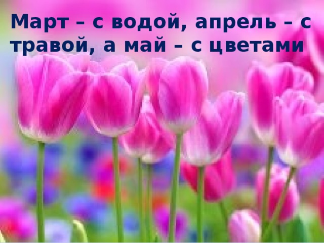 Март – с водой, апрель – с травой, а май – с цветами   
