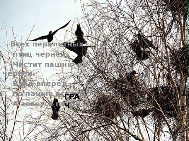  Всех перелётных  птиц черней,  Чистит пашню от червей.  Взад-вперёд  по пашне вскачь.  А зовётся птица … ГРАЧ 