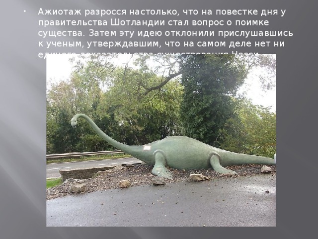 Ажиотаж разросся настолько, что на повестке дня у правительства Шотландии стал вопрос о поимке существа. Затем эту идею отклонили прислушавшись к ученым, утверждавшим, что на самом деле нет ни единого доказательства существования Несси 