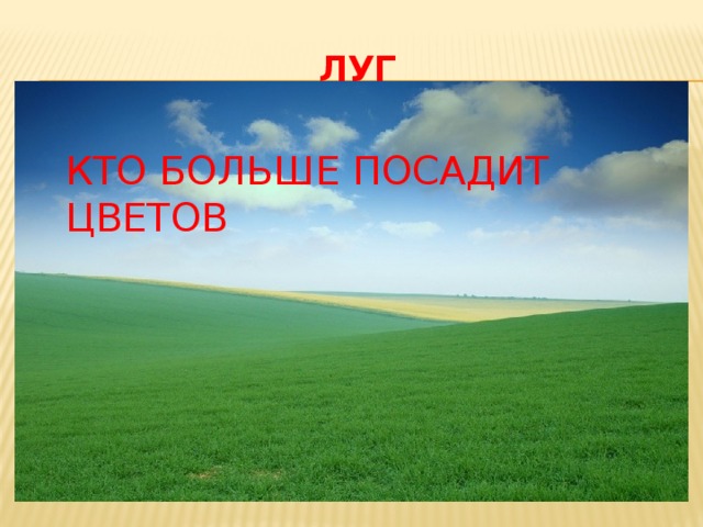 Луг КТО БОЛЬШЕ ПОСАДИТ ЦВЕТОВ 